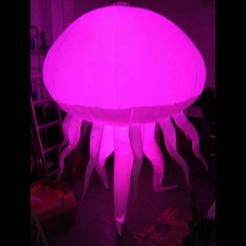 inflatable,jellyfish,